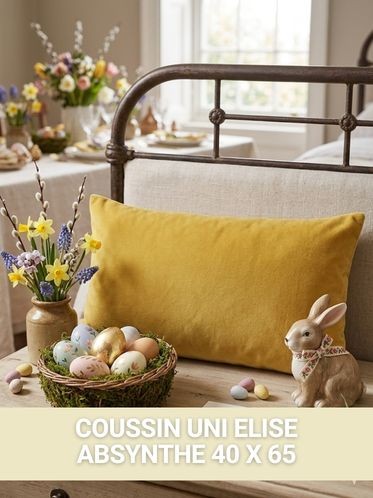 Coussin uni Absynthe 40 X 65